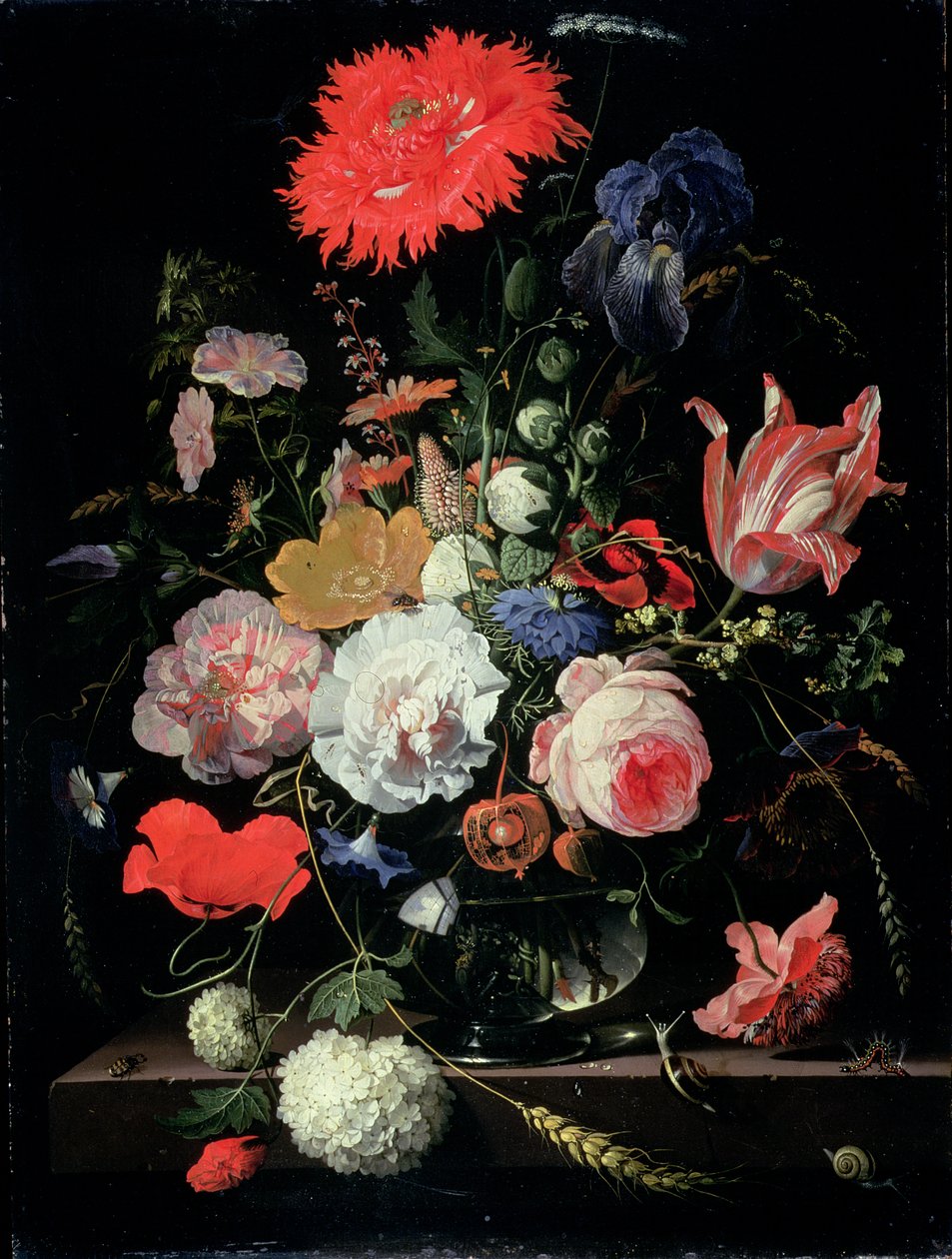 Pièce florale - Abraham Mignon