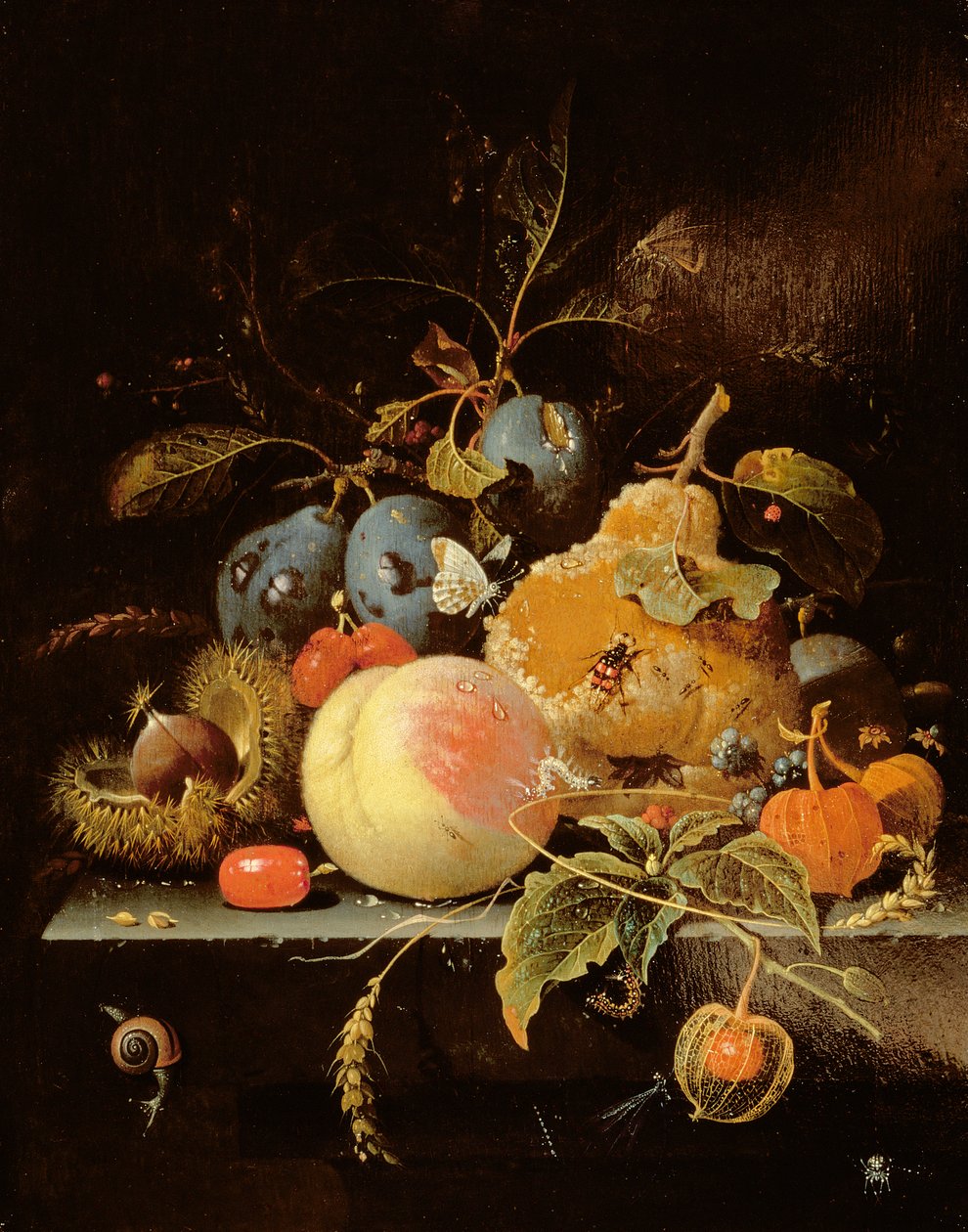 Nature morte de fruits et noix sur un rebord de pierre - Abraham Mignon