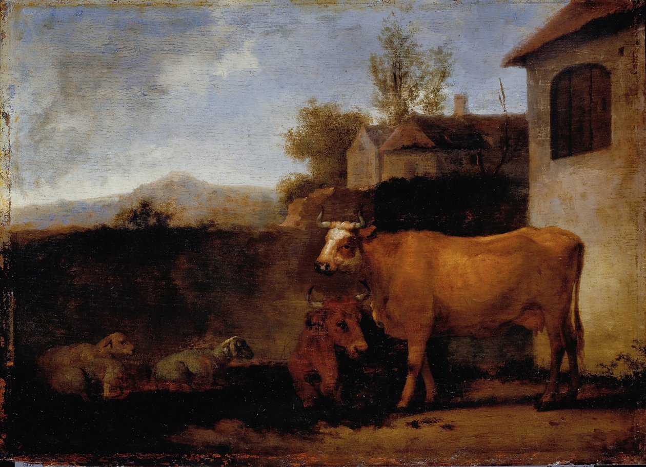 Vaches et Moutons - Abraham van Calraet