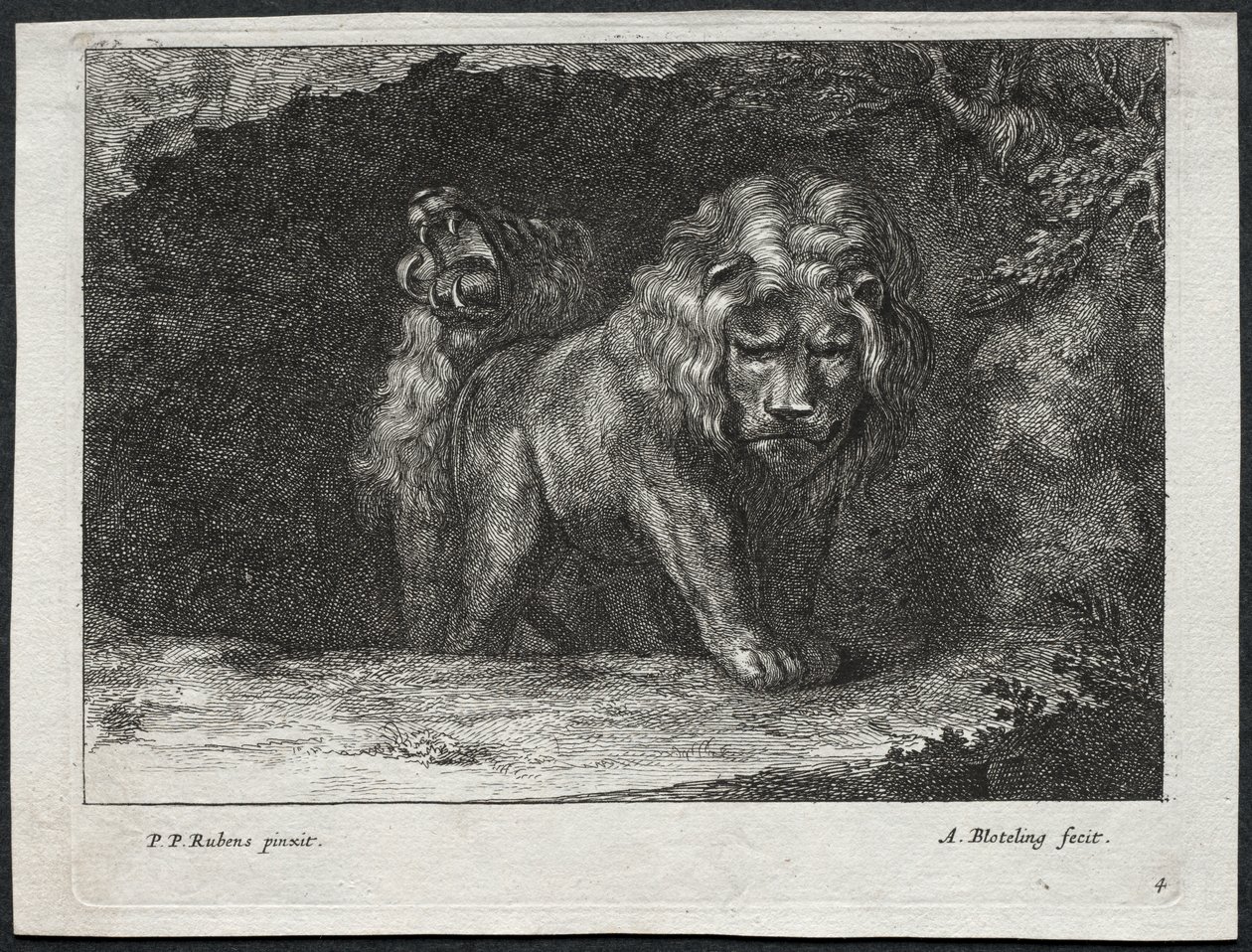 Divers lions - Abraham Blooteling