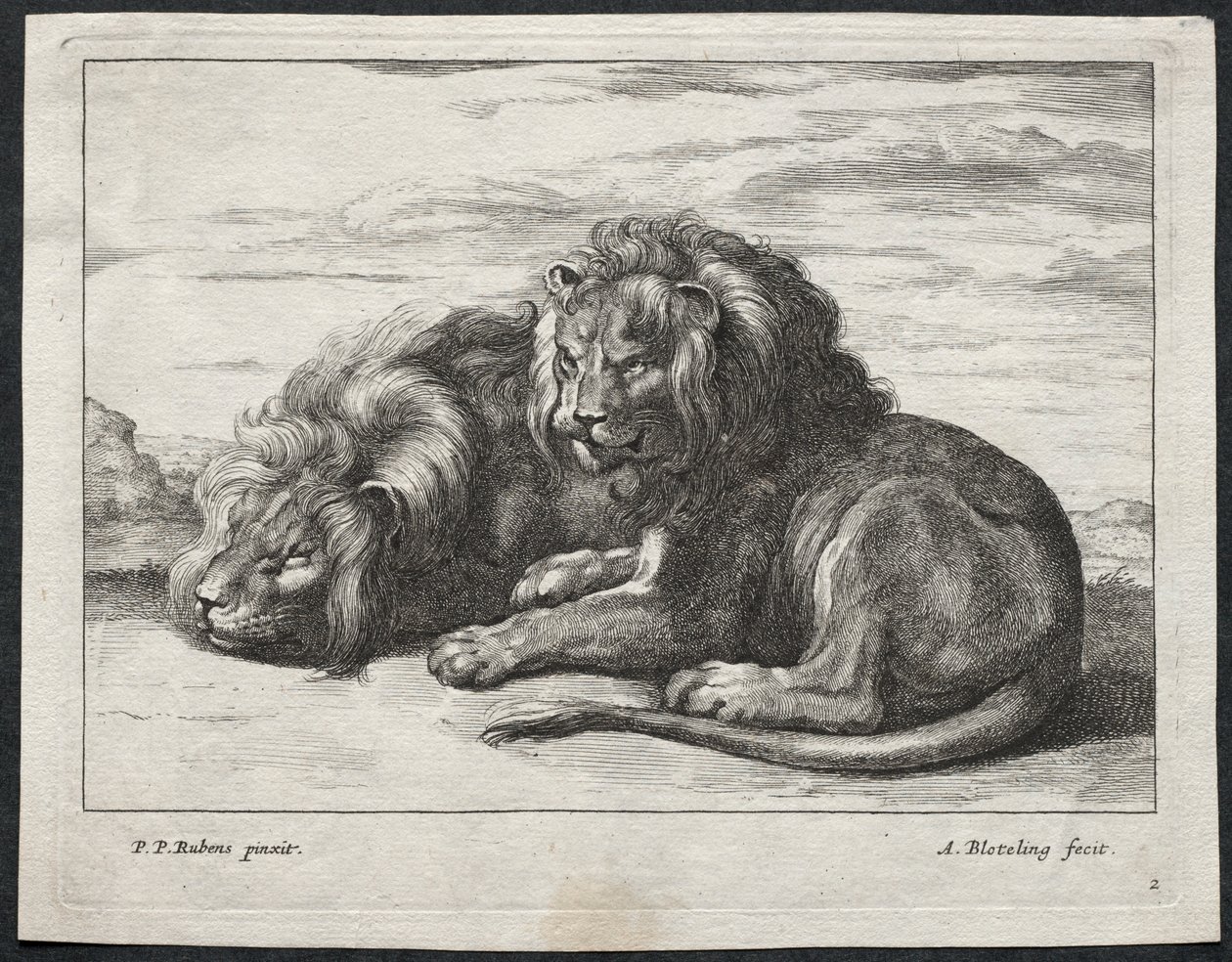 Divers lions - Abraham Blooteling
