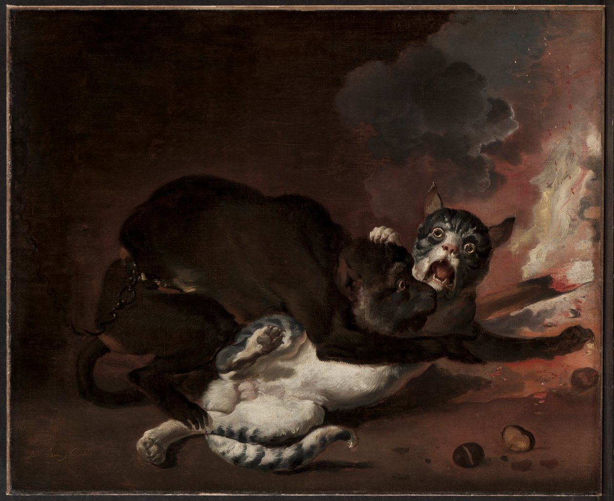Le Singe et le Chat, probablement années 1670 - Abraham Danielsz. Hondius