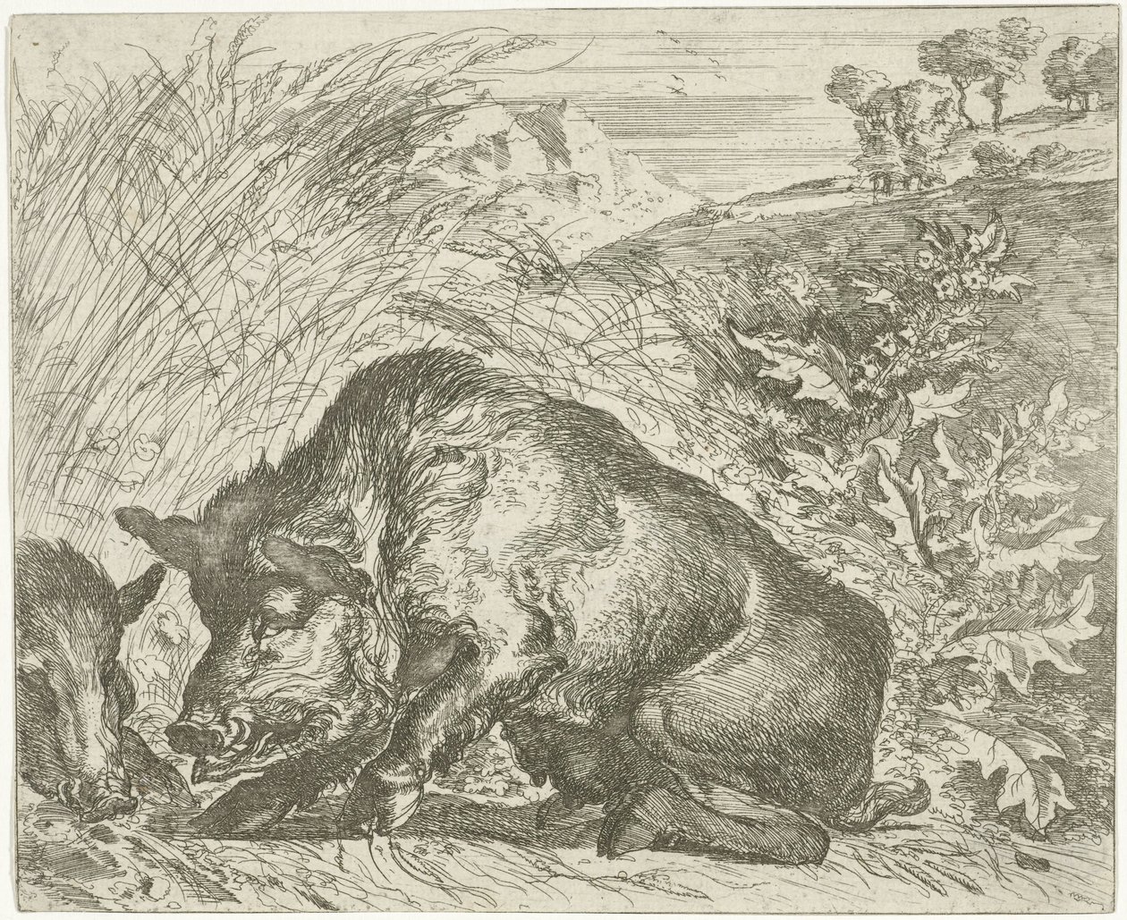 Sanglier - Abraham Danielsz. Hondius