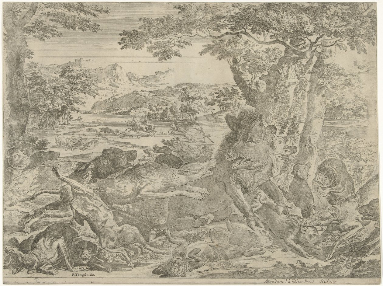 Sanglier attaqué par des chiens - Abraham Danielsz. Hondius