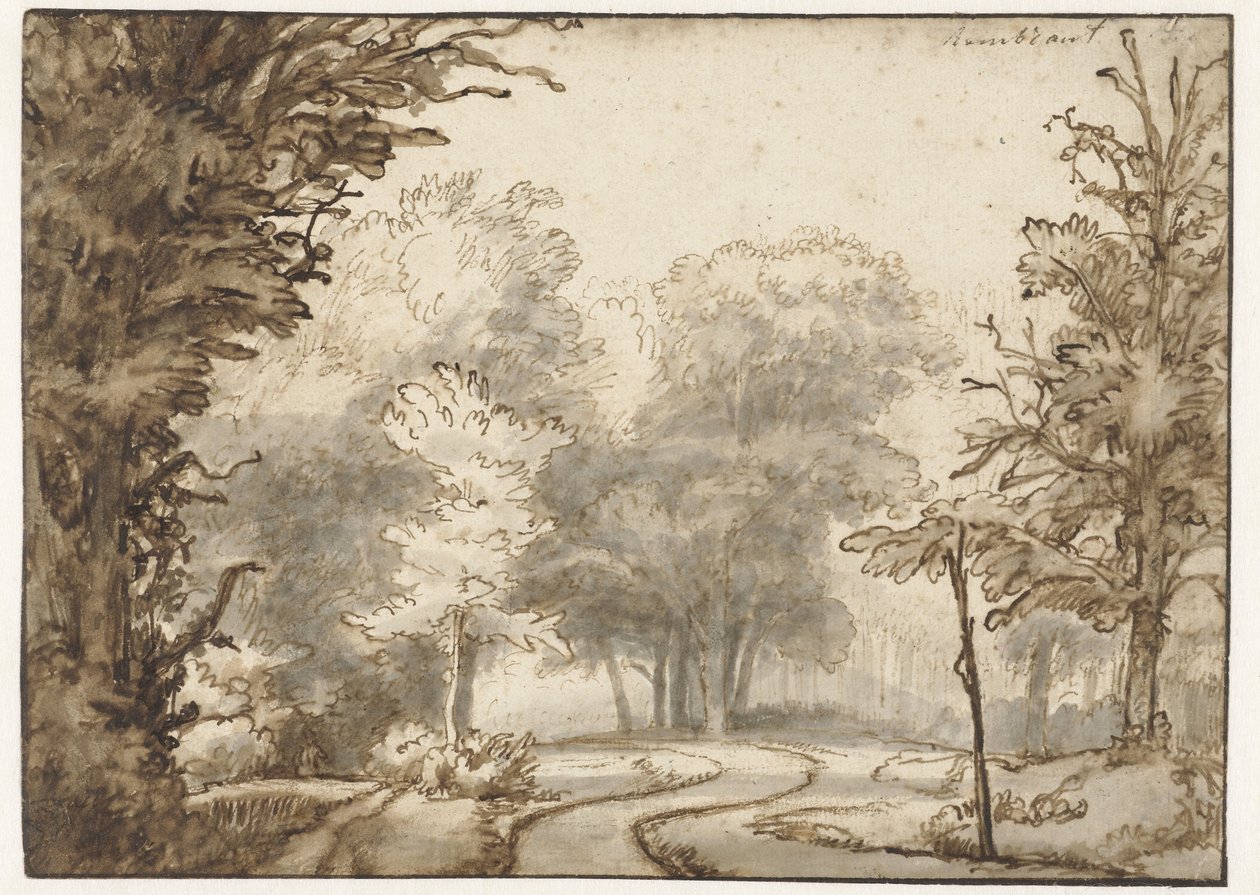 Chemin à travers la forêt - Abraham Furnerius