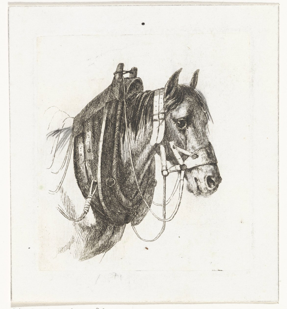 Tête de cheval avec bride, collier et selle - Abraham Hendrik Winter