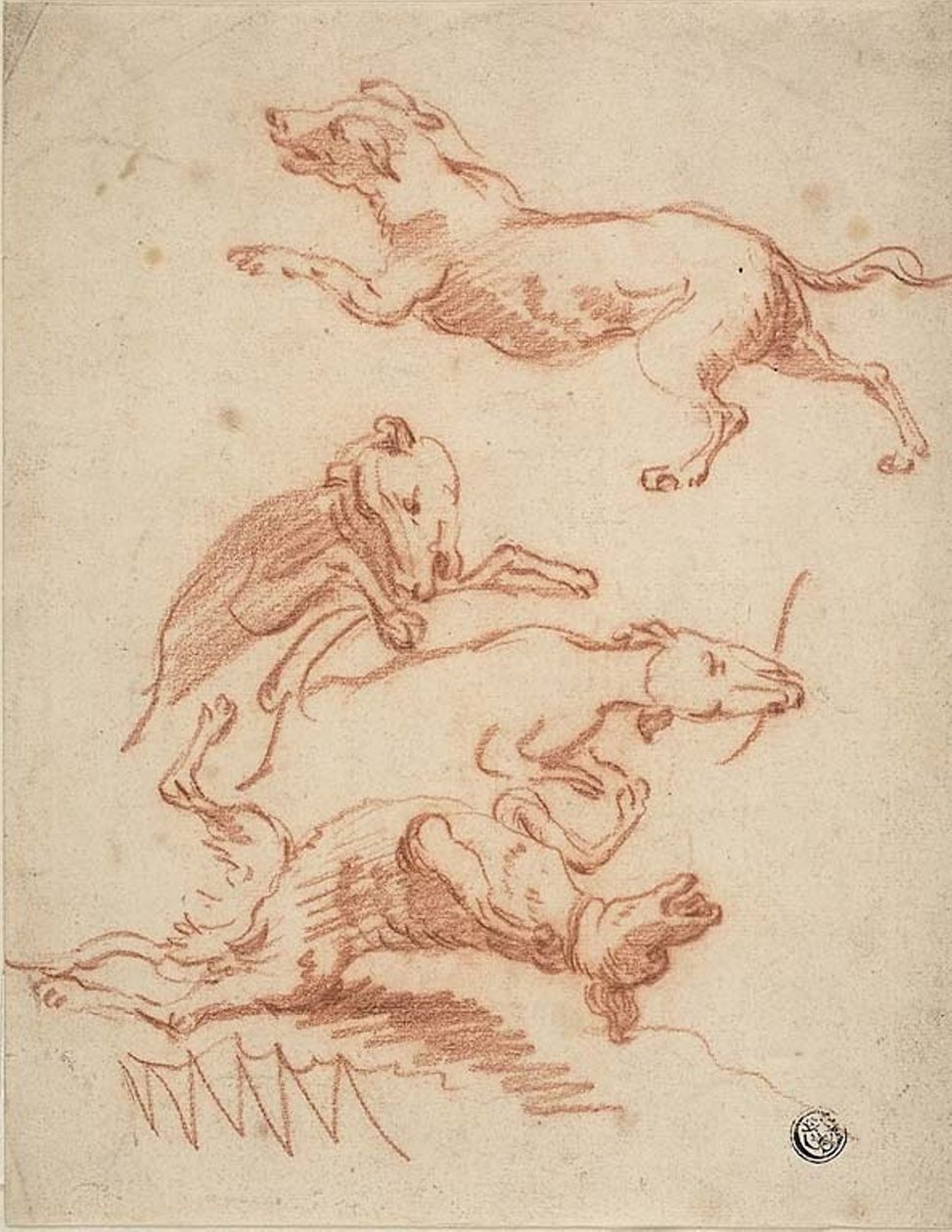 Esquisses de chiens en train de jouer - Abraham Hondius
