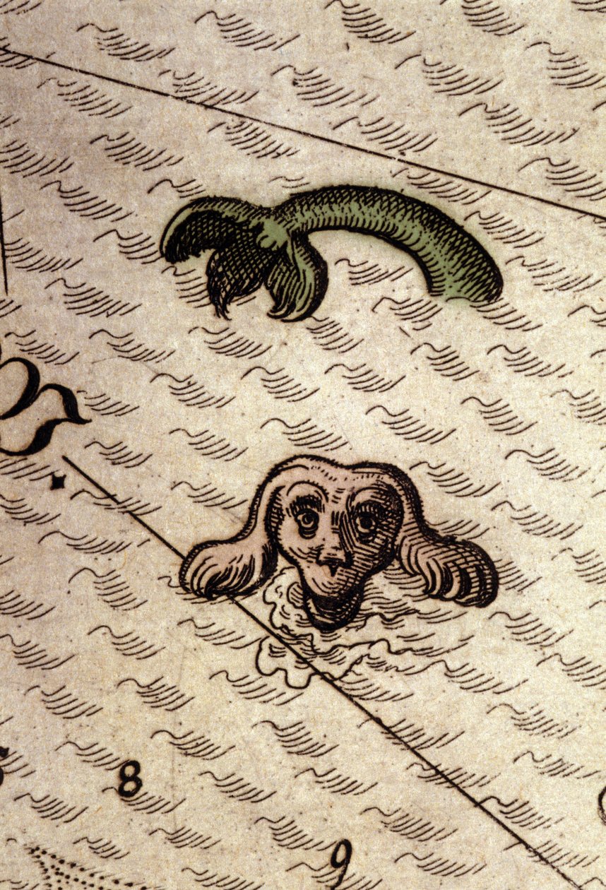 Un monstre marin a une tête de chien et un corps de poisson. Détail d
