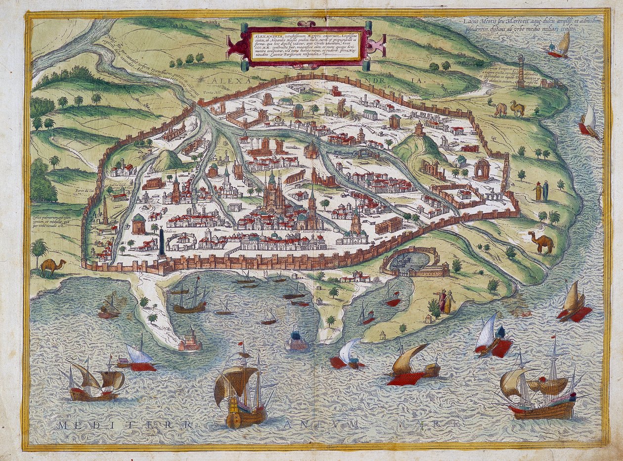 Carte d