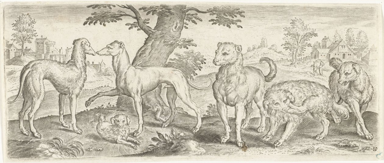 Chiens - Abraham de Bruyn (possibly)