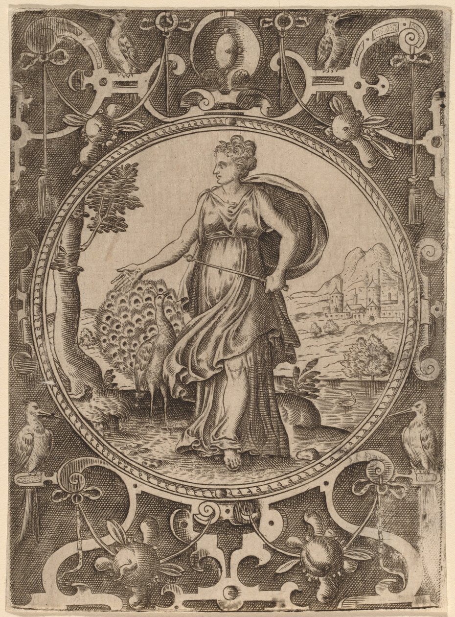 Junon - Abraham de Bruyn