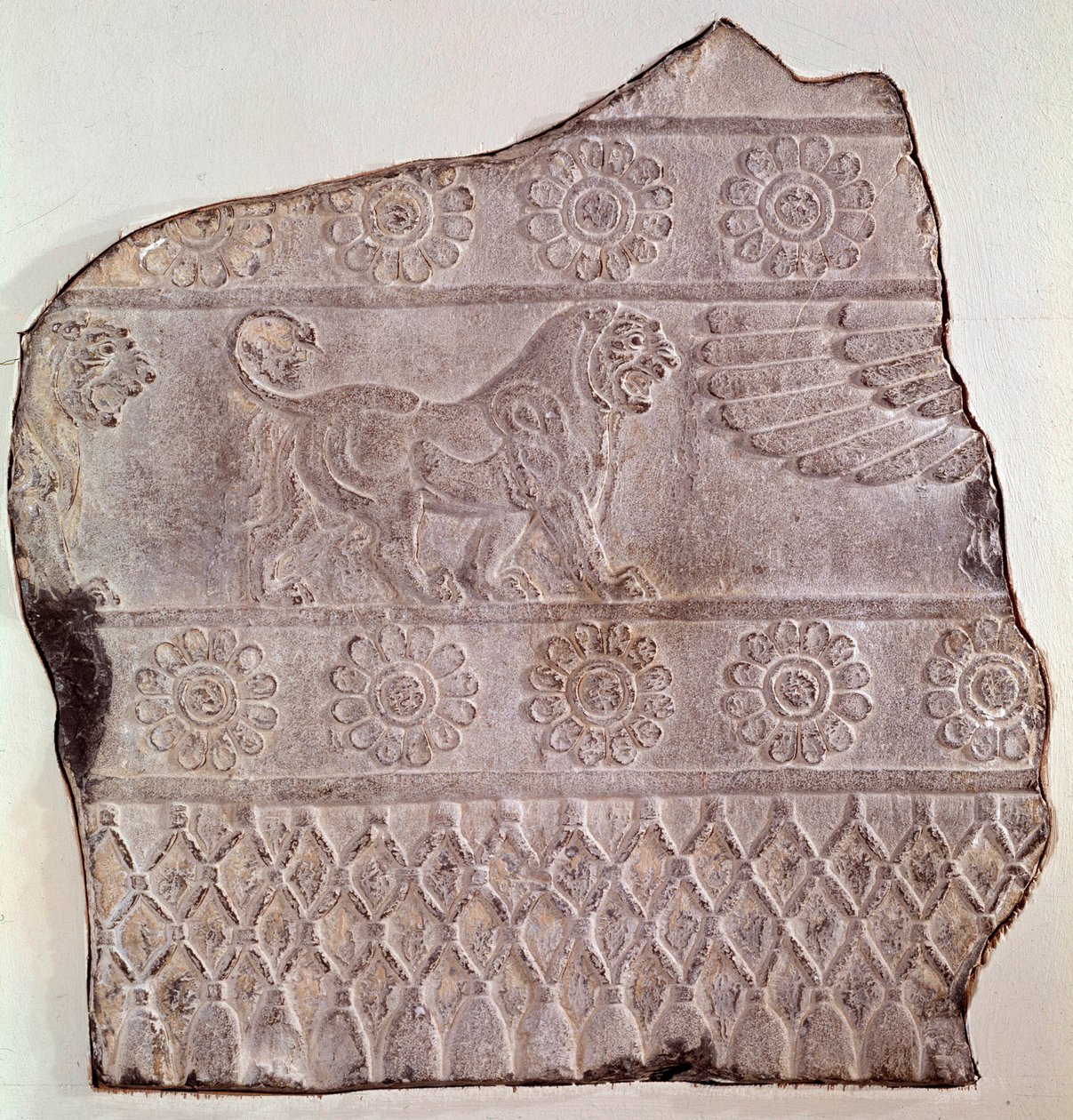 Fragment de bas-relief représentant un lion marchant. De Persépolis (Iran) Époque Achéménide, 460 av. J.-C. Seattle, Art Museum - Achaemenid