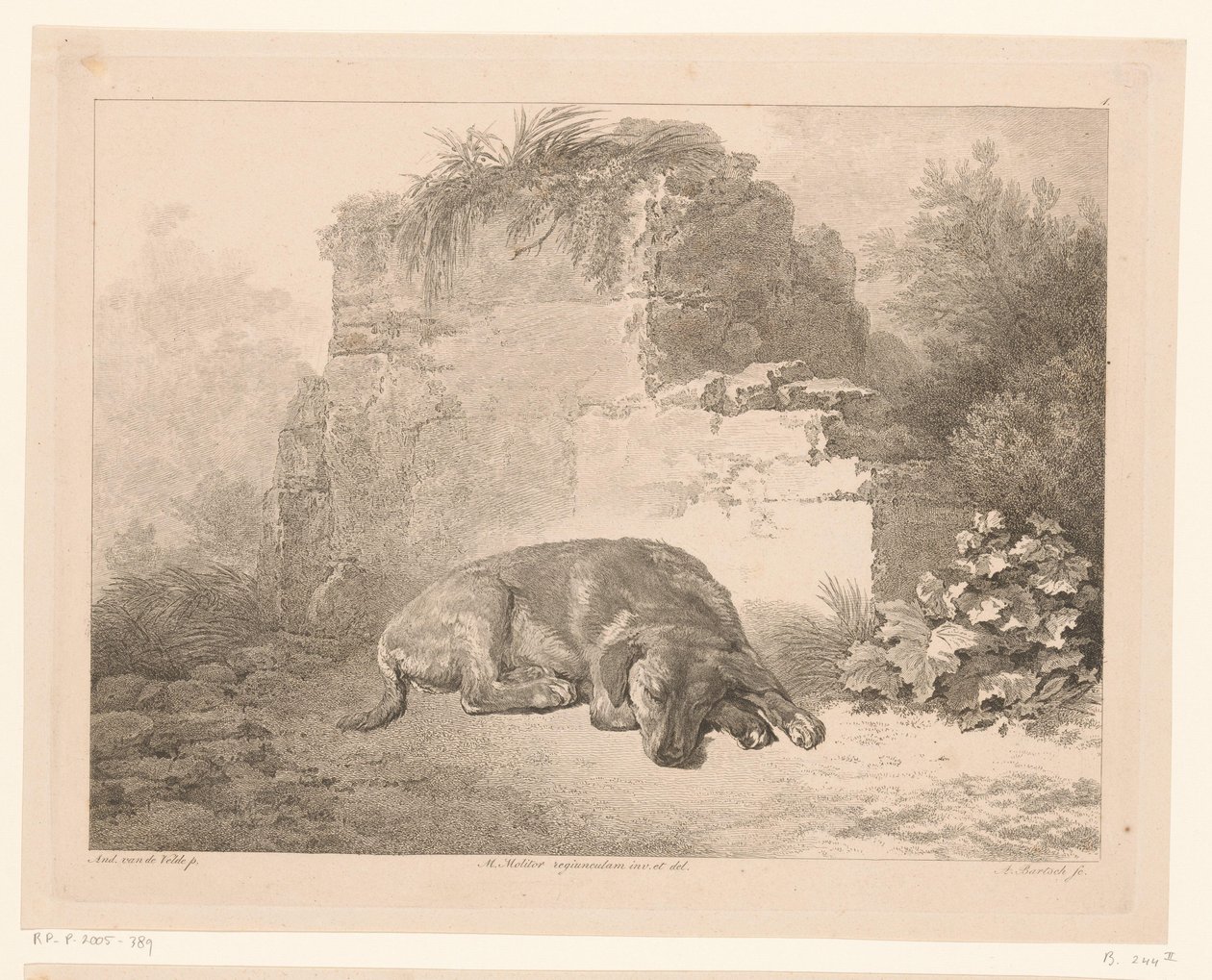 Chien endormi devant un mur (série Dieren naar schilderijen van Hollandse meesters, Différens animaux gravés d