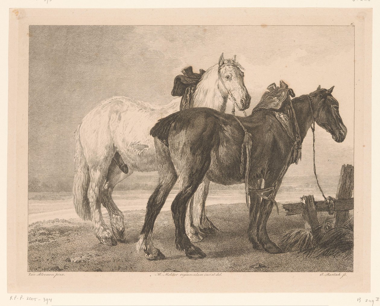 Deux chevaux dans un paysage fluvial (Dieren naar schilderijen van Hollandse meesters) - Adam von Bartsch