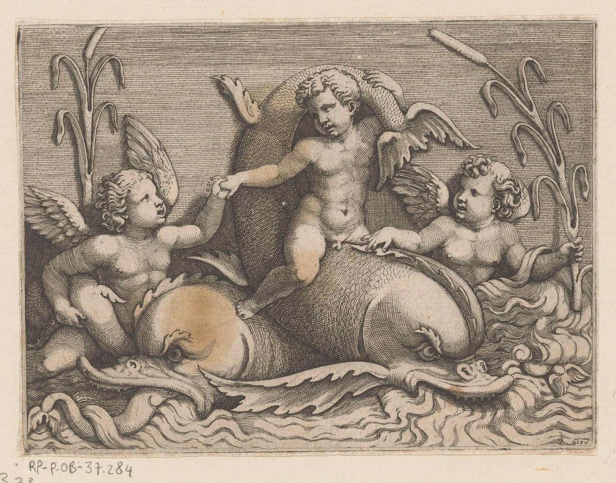 Trois putti avec des dauphins - Adamo Scultori