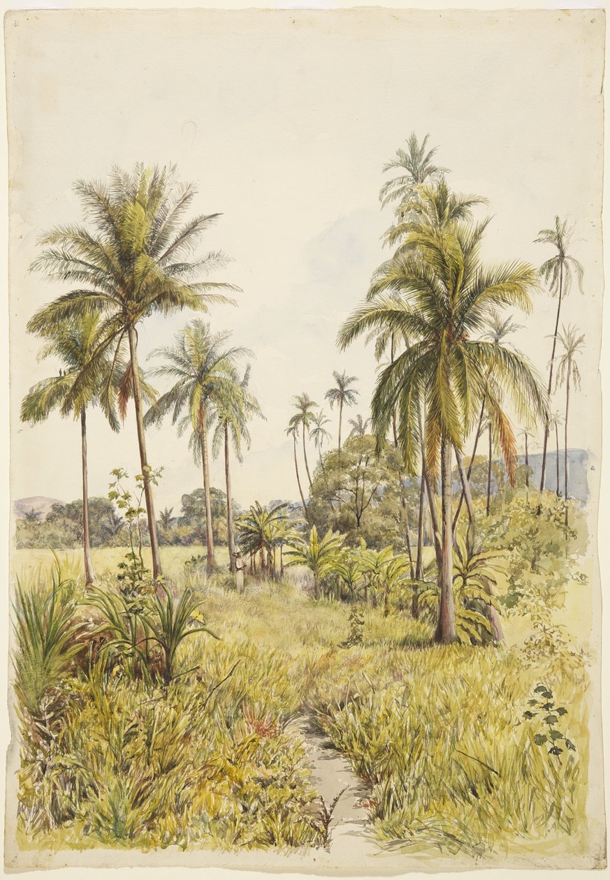 Palmiers, Colima - Adela Breton