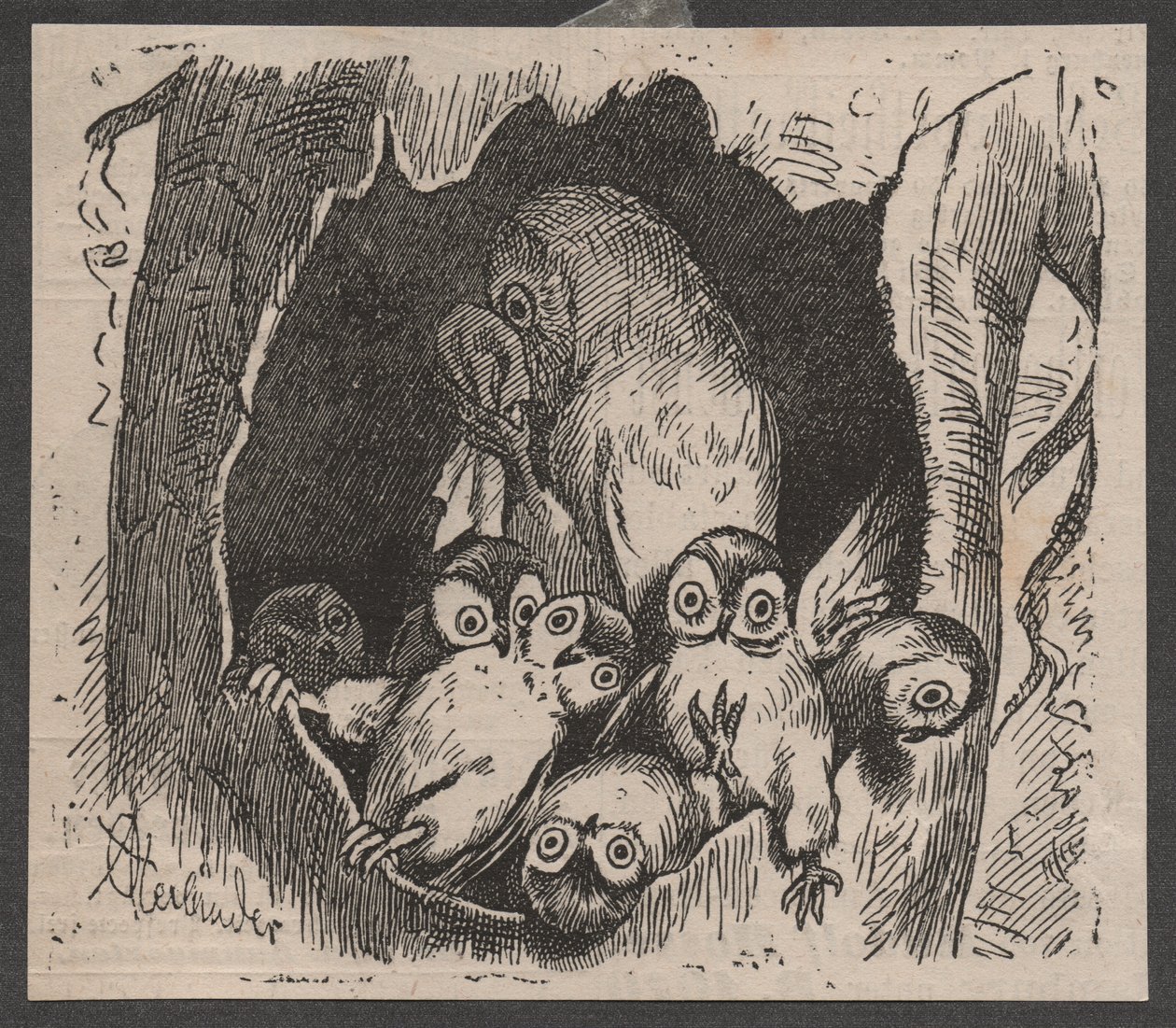 Chouette avec des petits, vers 1890 - Adolf Oberländer