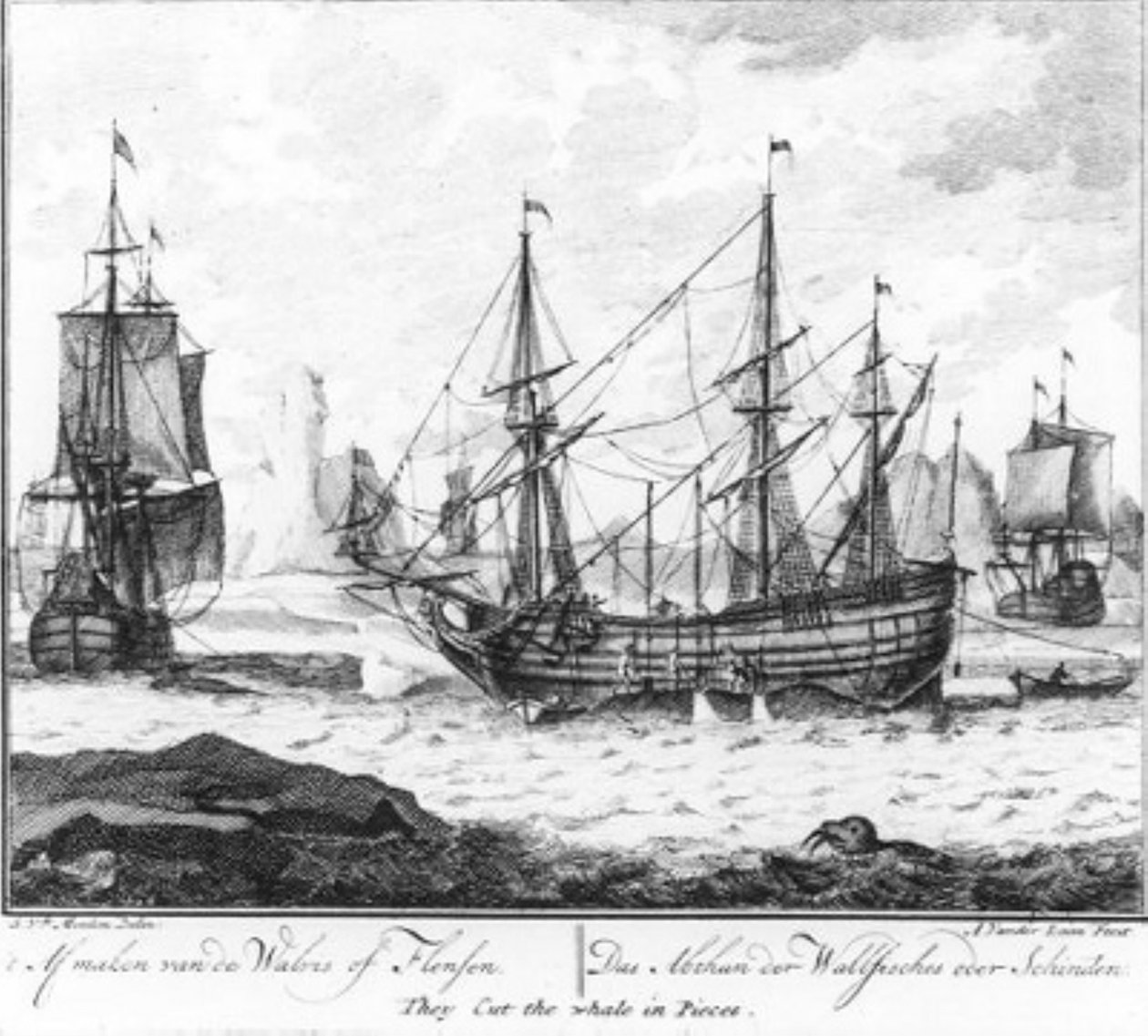 « Le dépeçage de la baleine » (n° 8 de la série sur la chasse à la baleine) - Adolf van der Laan