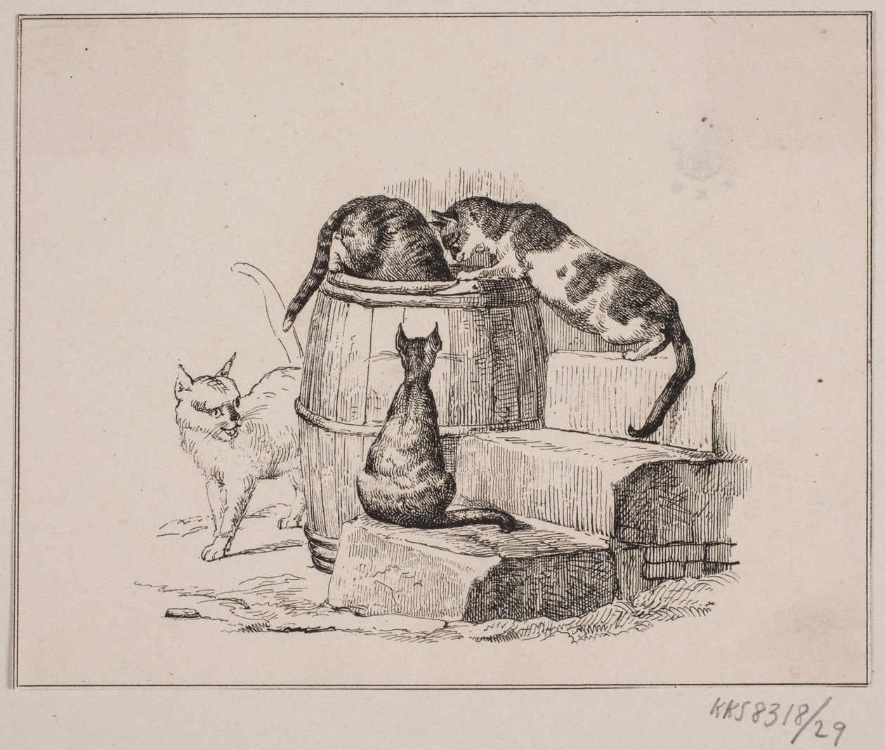 Les chats - Johan Adolph Kittendorff