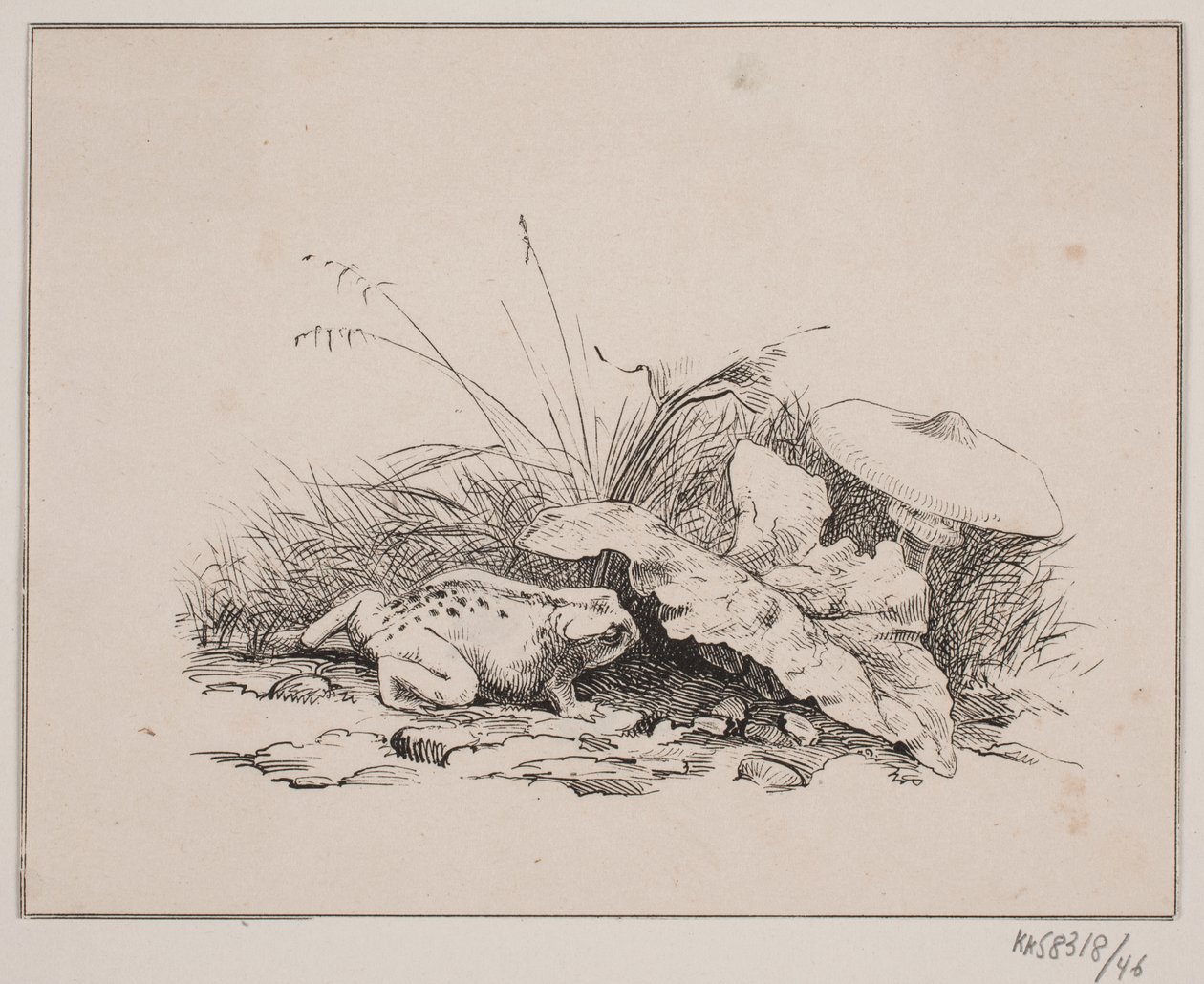 Le crapaud - Johan Adolph Kittendorff