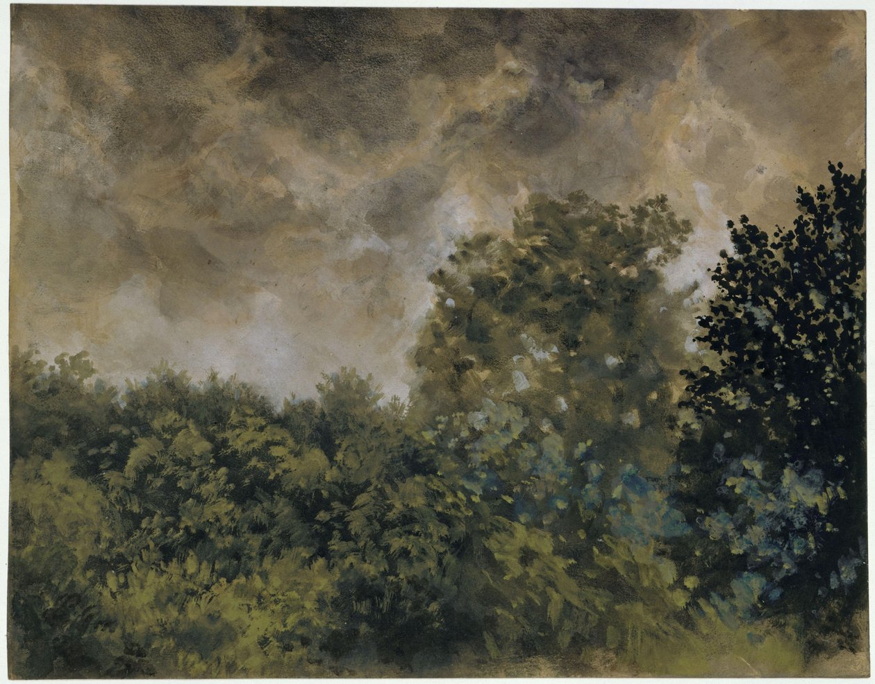 Vue sur un bosquet de feuillus - Adolph Menzel
