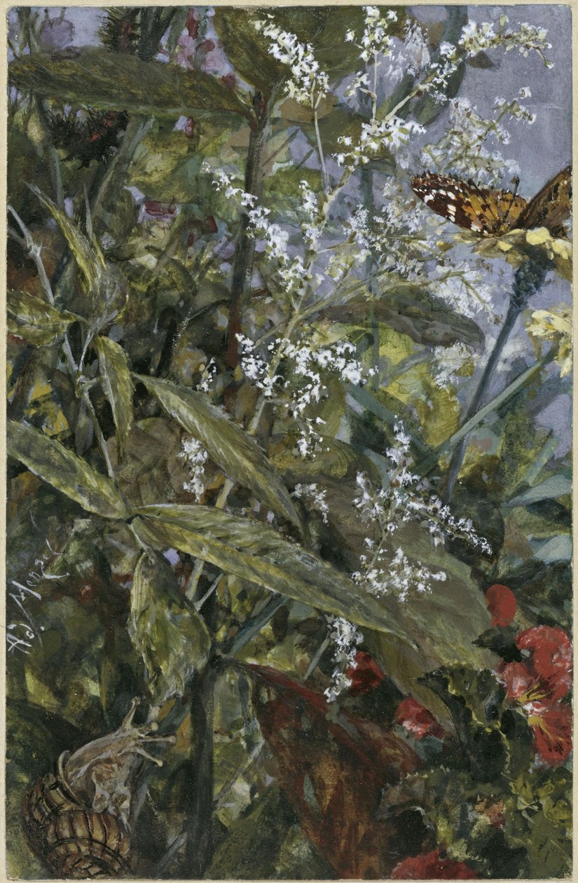 Des fleurs avec un papillon et un escargot. Tiré de l