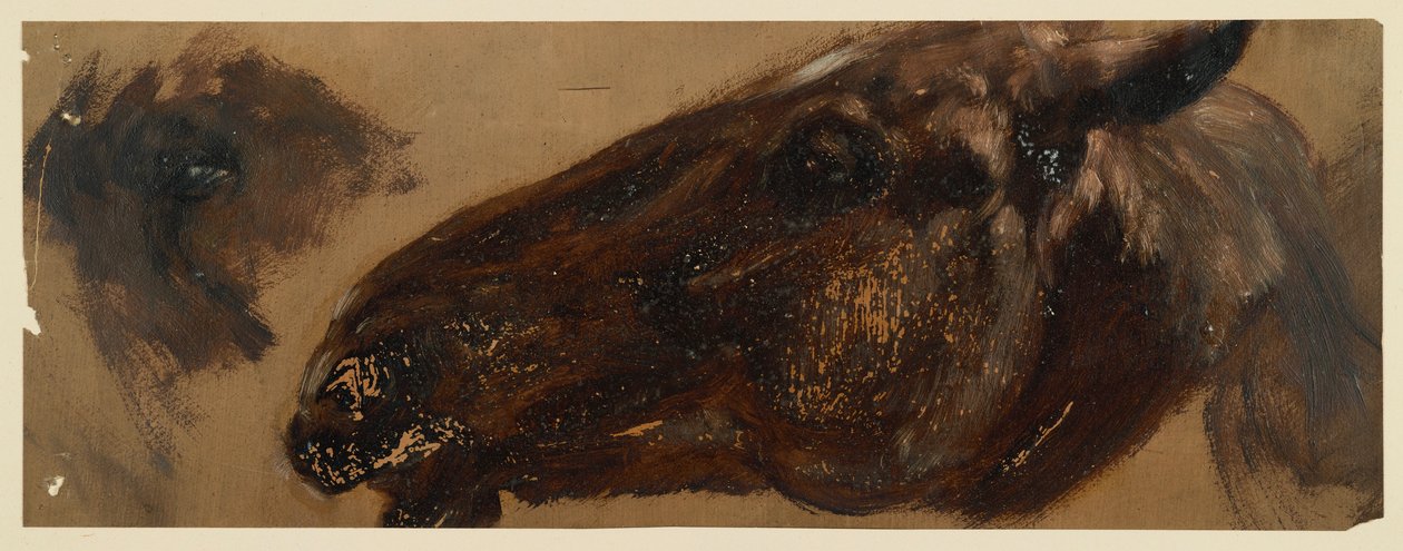 Tête de cheval tournée vers la gauche, la zone des yeux est répétée - Adolph Menzel