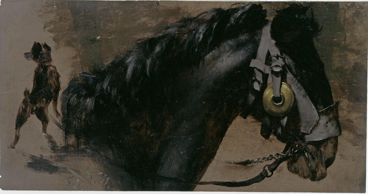 Tête de cheval et de chien - Adolph Menzel