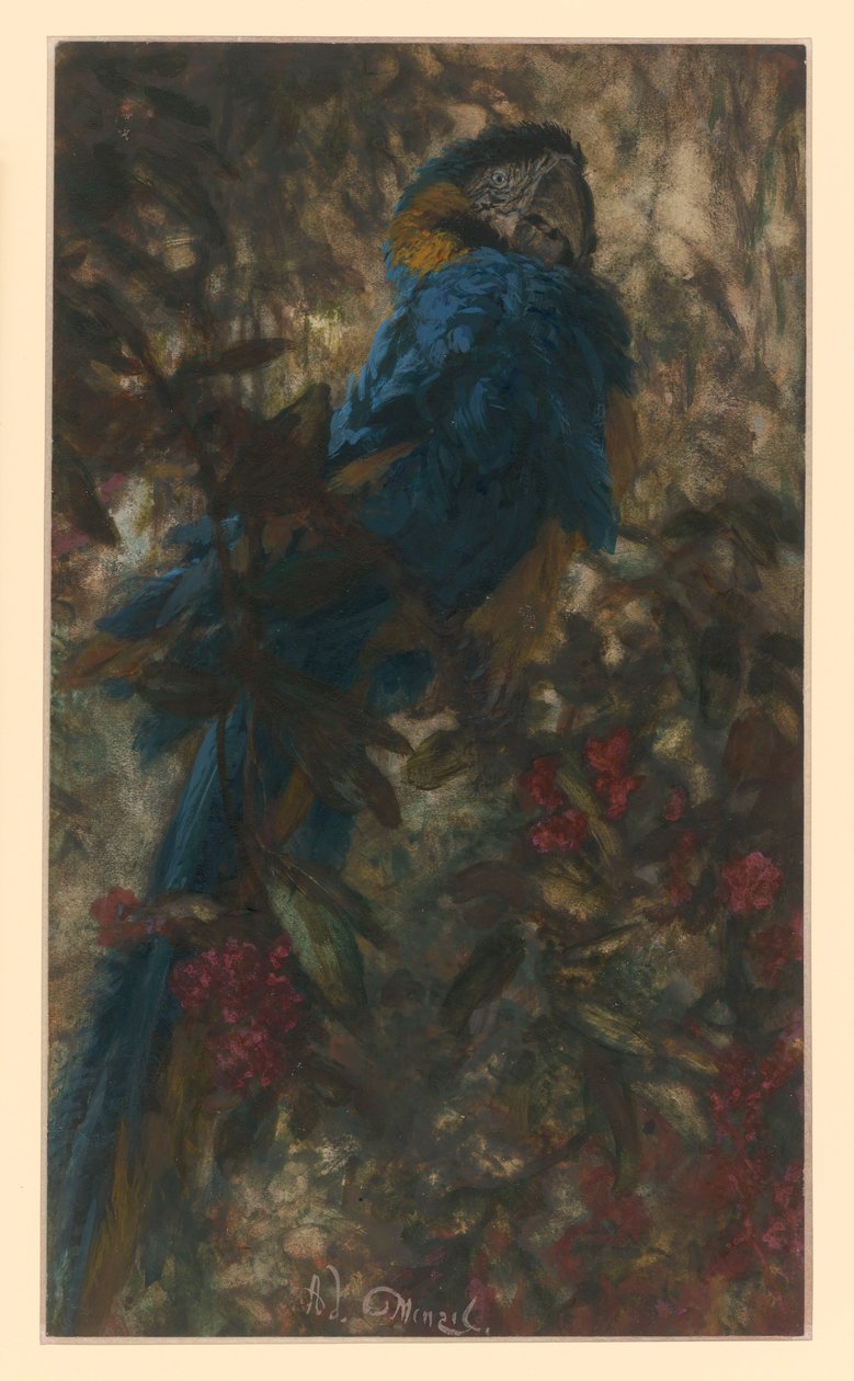 Douce liberté. Extrait de « L
