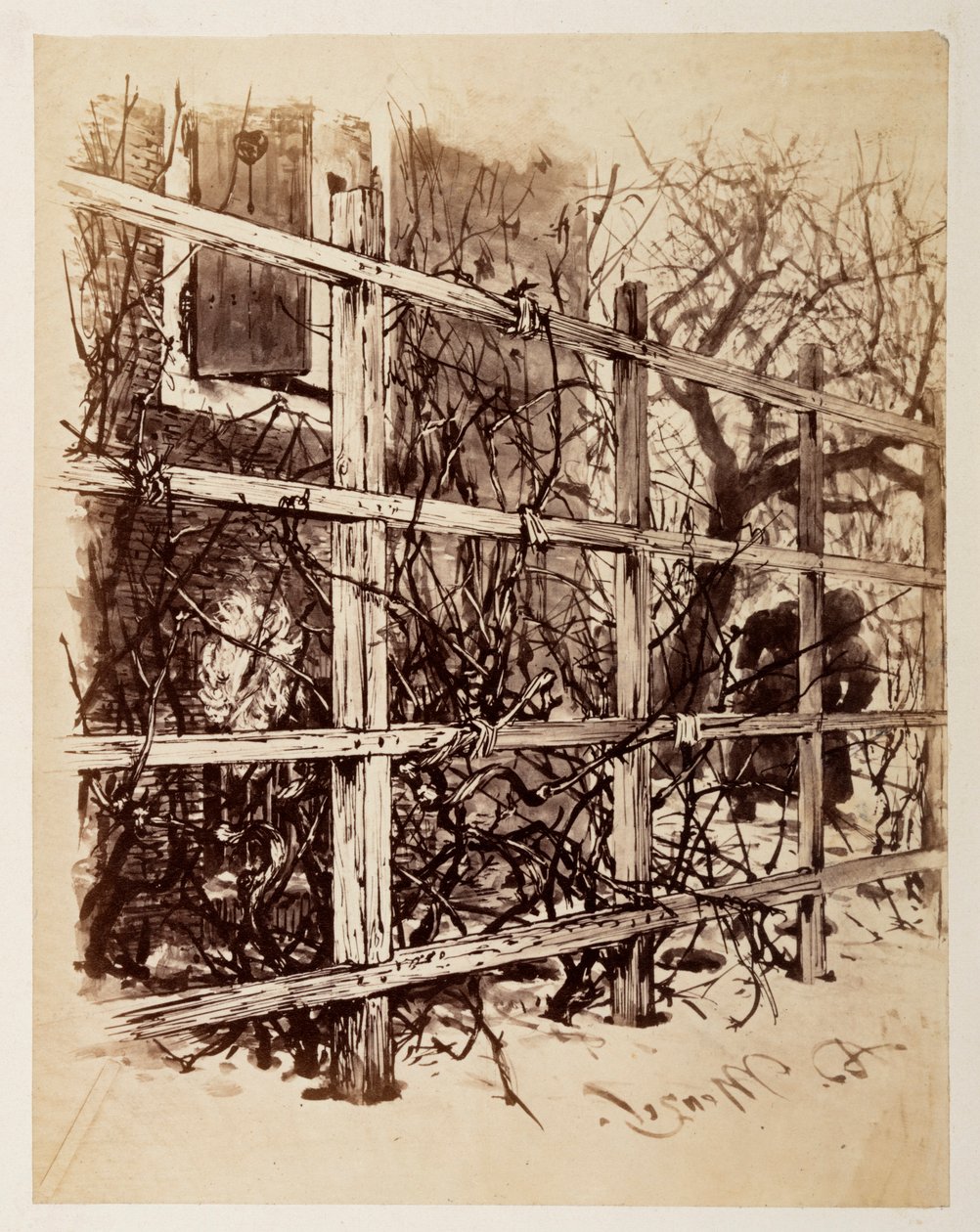 Devant une maison, un treillis sur lequel est suspendue une perruque, d