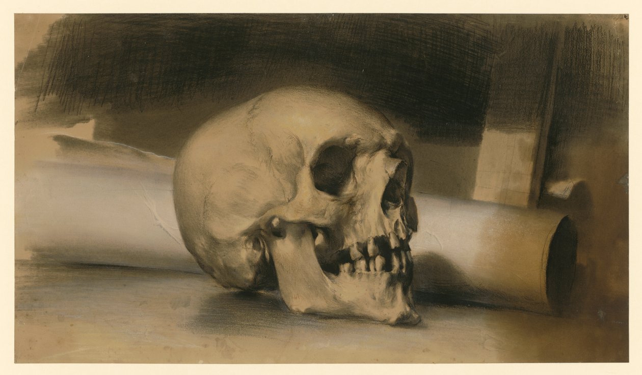 un crâne humain tourné vers la droite, avec un rouleau de papier derrière - Adolph Menzel