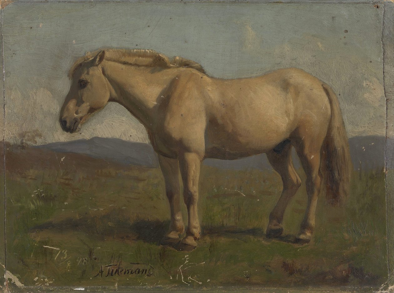Un cheval gris foncé - Adolph Tidemand
