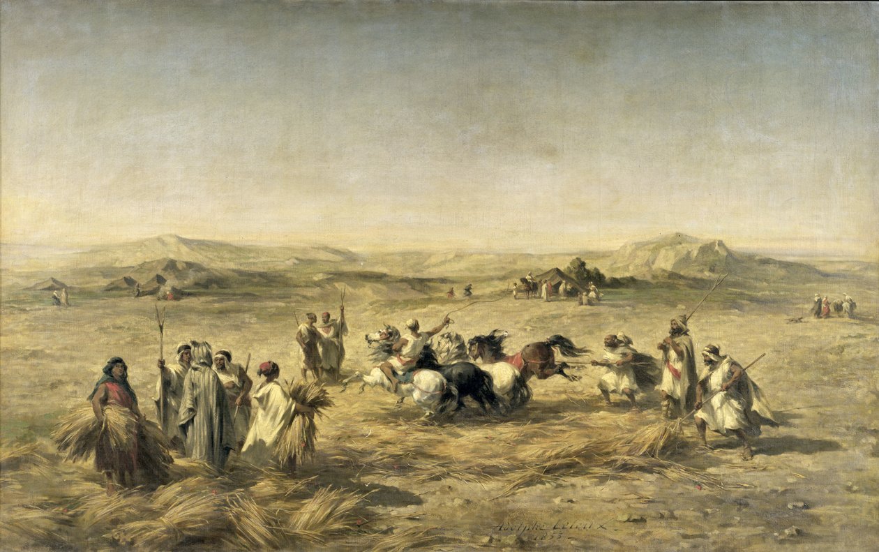 Battage du blé en Algérie, 1853 - Adolphe Pierre Leleux
