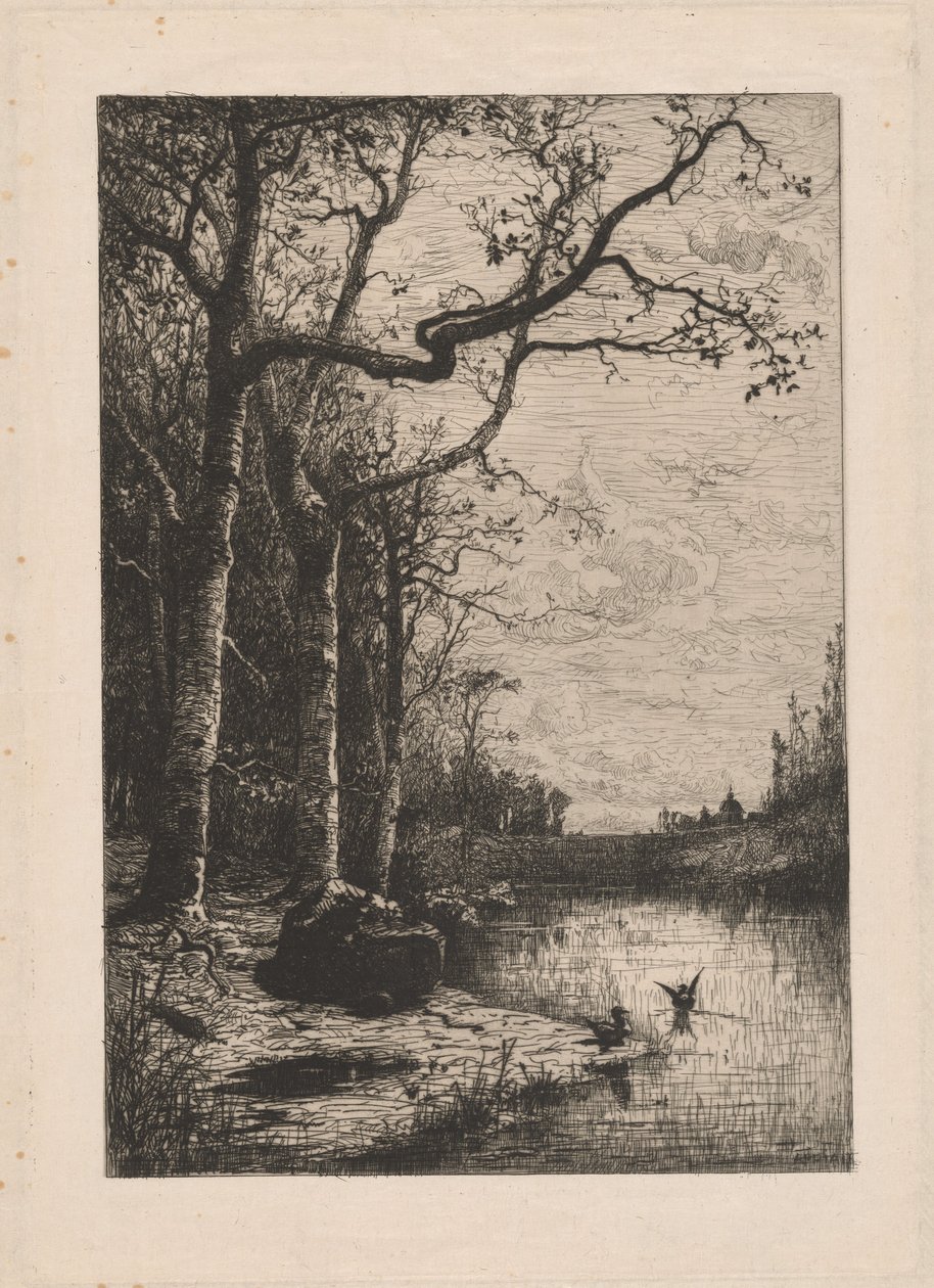 Les marais de la Burbanche - Adolphe Appian