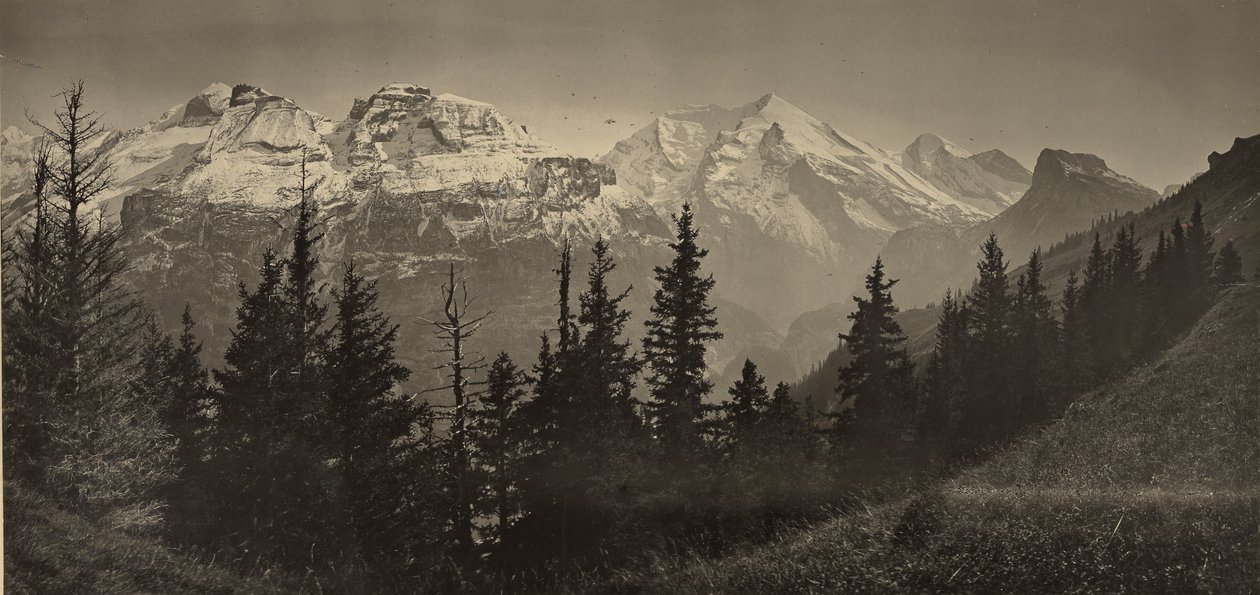 [Paysage alpin] - Adolphe Braun