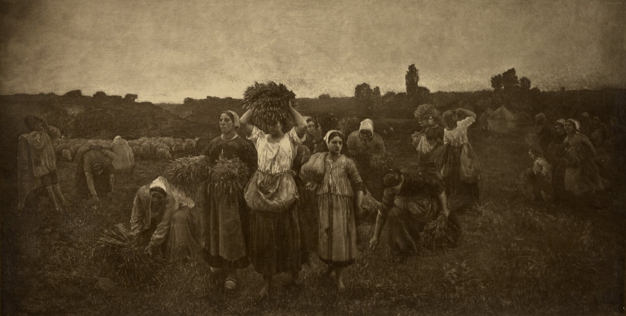 Appel aux glaneurs - Adolphe Braun