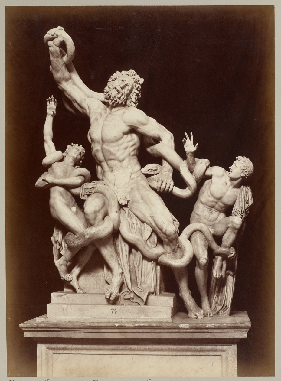 Le Laocoon au Musée du Vatican - Adolphe Braun