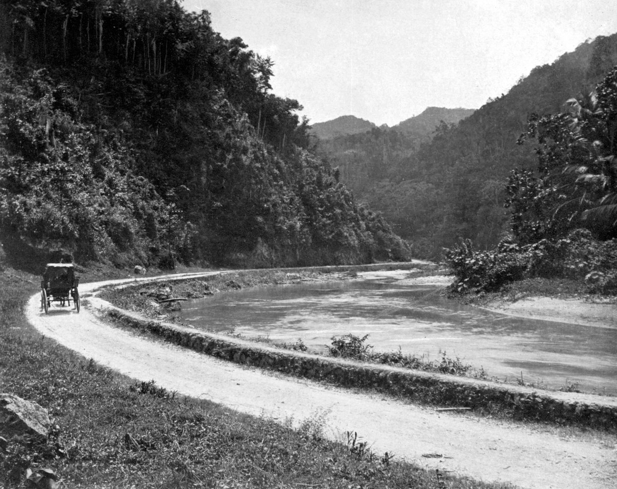 Route vers Bog Walk, Jamaïque, c1905 - Adolphe Duperly and Son