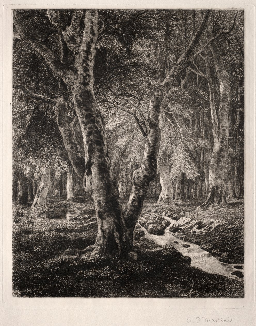 Forêt de Pierrefonds - Adolphe Théodore Jules Martial Potémont