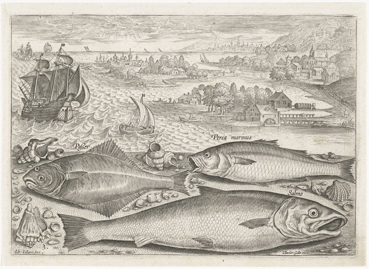 Trois poissons sur la plage - Adriaen Collaert