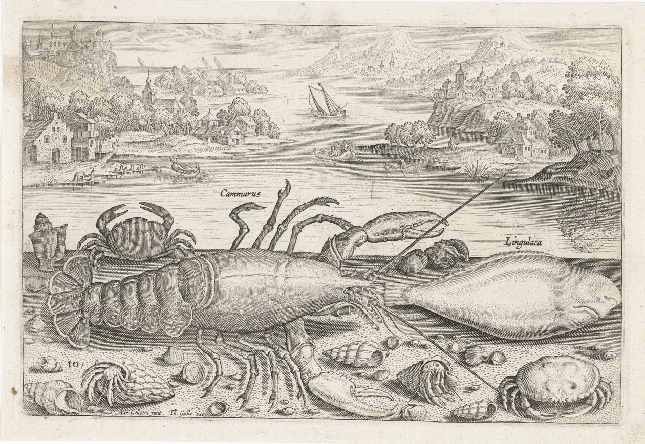 Un poisson et quelques crustacés sur la plage - Adriaen Collaert