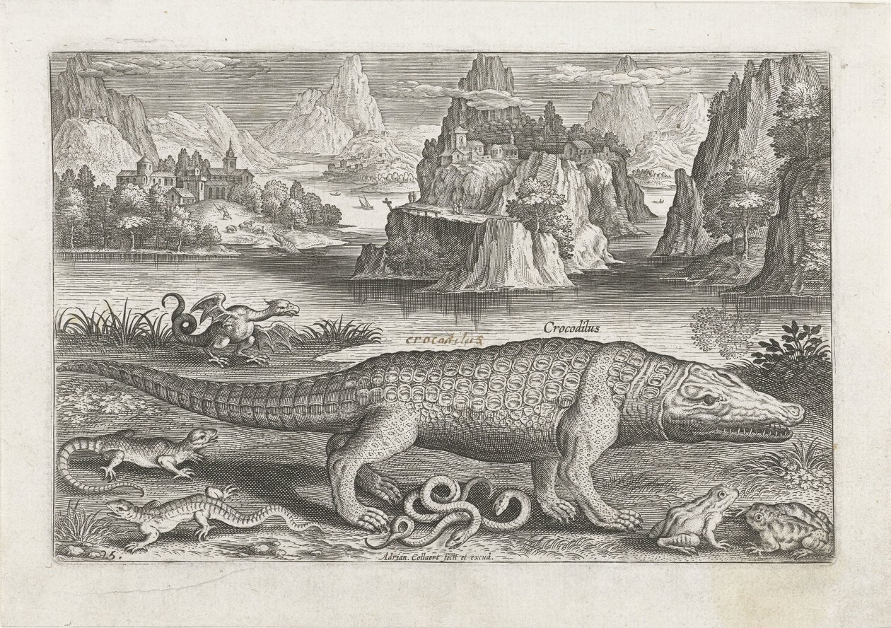 Quelques reptiles et amphibiens sur une rive (Vissen, Piscivm vivae icones) - Adriaen Collaert
