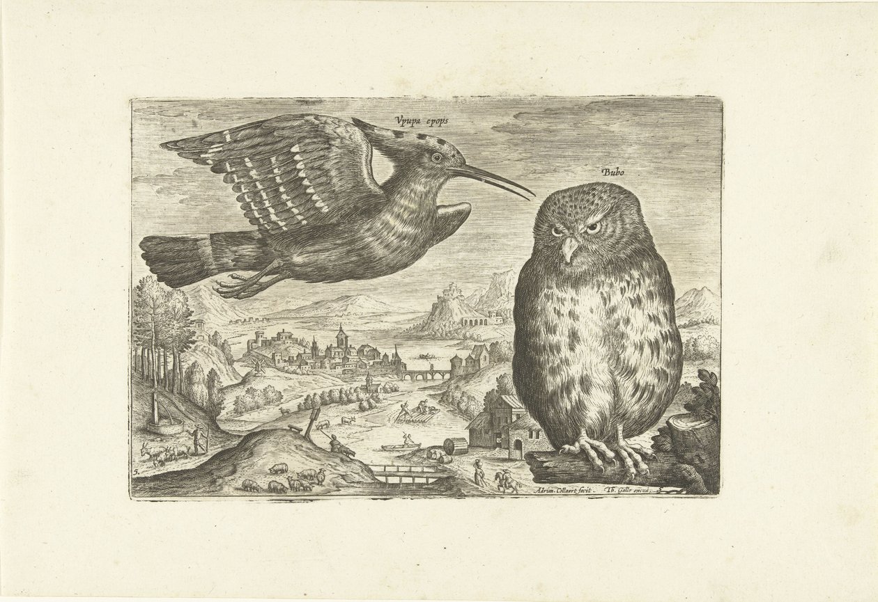 Quelques oiseaux dans un paysage - Adriaen Collaert
