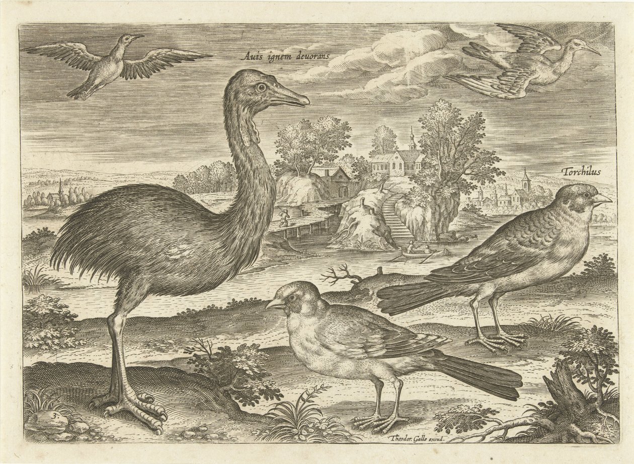 Quelques oiseaux dans un paysage - Adriaen Collaert