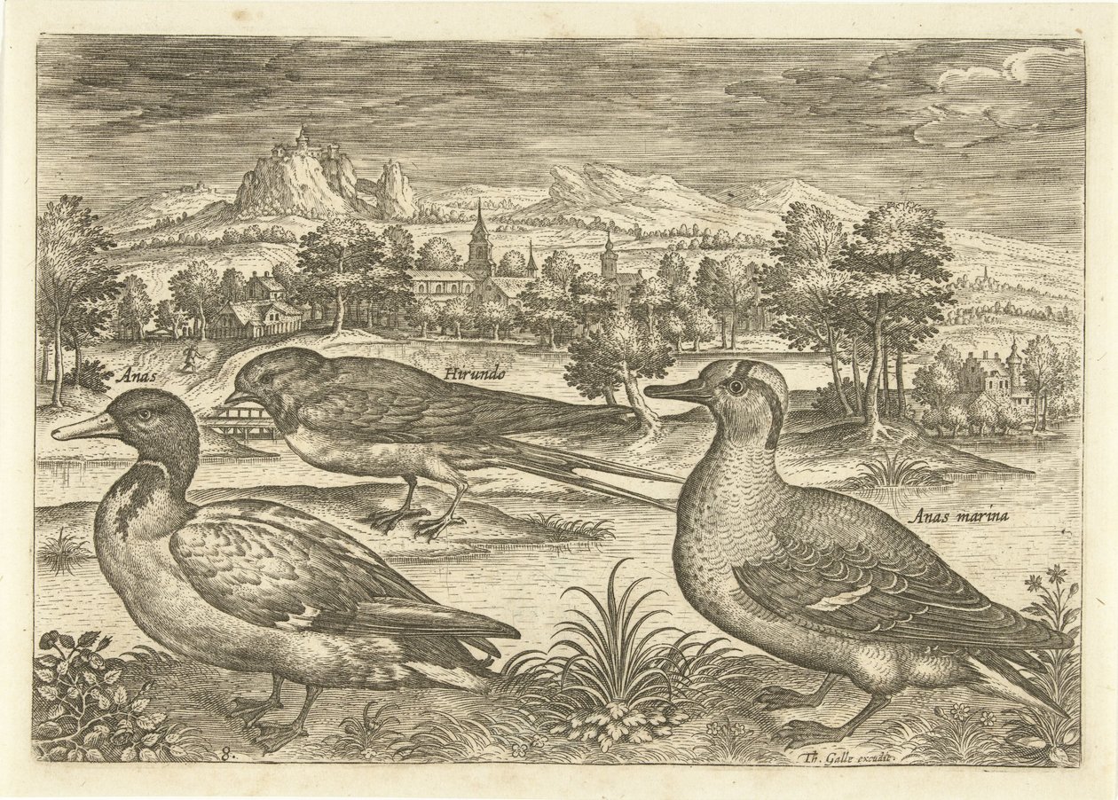 Quelques oiseaux dans un paysage (Avivm vivae) - Adriaen Collaert