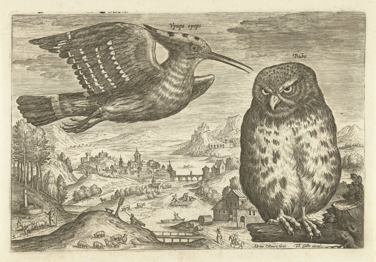 Quelques oiseaux dans un paysage (Avivm vivae) - Adriaen Collaert