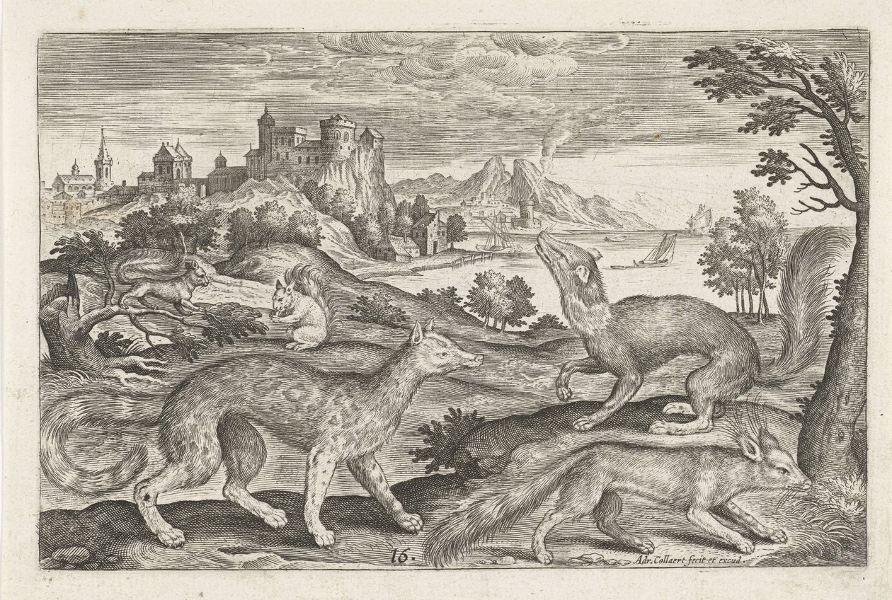 Martres, écureuils et un renard (Vierpotige dieren, Animalivm Qvaddrvpedvm) - Adriaen Collaert
