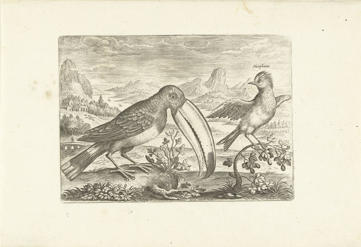 Deux oiseaux exotiques dans un paysage - Adriaen Collaert