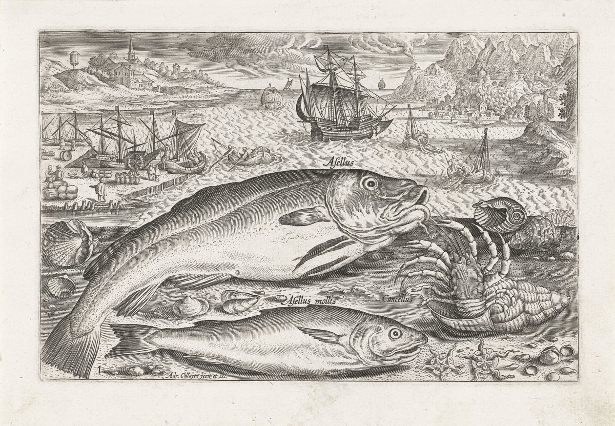 Deux poissons sur la plage - Adriaen Collaert