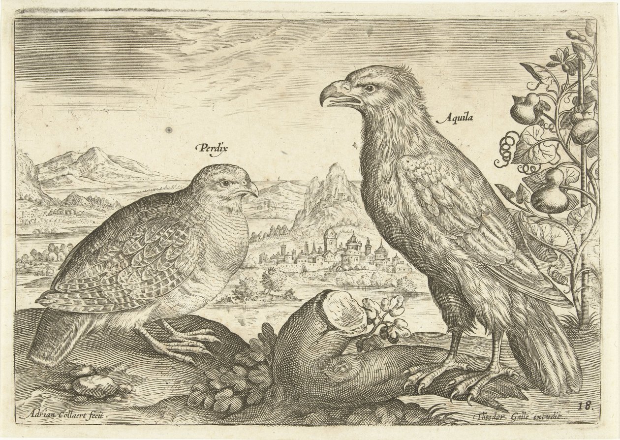 Deux oiseaux dans un paysage - Adriaen Collaert
